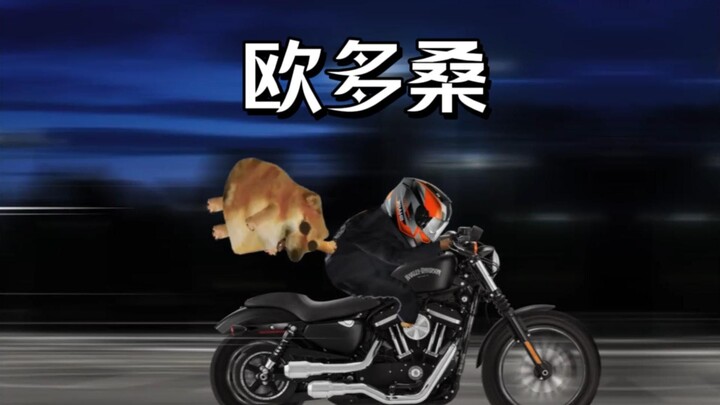 เมื่อพี่น้องของคุณอกหักแล้วพาคุณออกไปเที่ยว