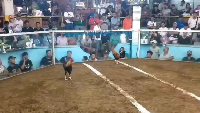 winner