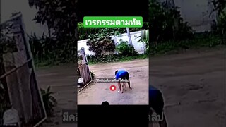 เวรกรรมตามทันเร็วมาก