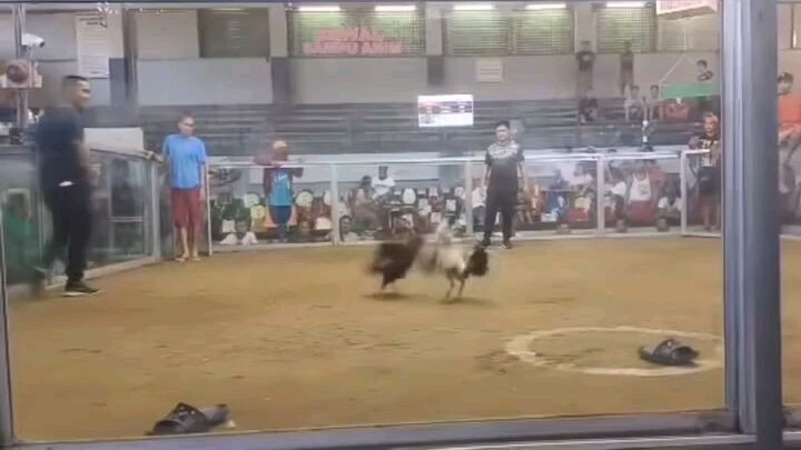 muntik kana maging kwento