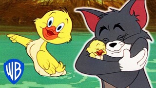 Tom & Jerry em Português | Brasil | O melhor de Patinho | WB Kids