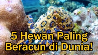 Sangat Berbahaya, Inilah 5 Hewan Paling Beracun Di Dunia!