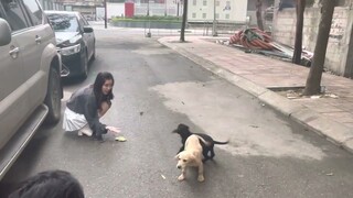 MỘT BUỔI CHIỀU VUI VẺ CÙNG NHỮNG NGƯỜI BẠN MỚI TẠI SCHANNEL 🤟