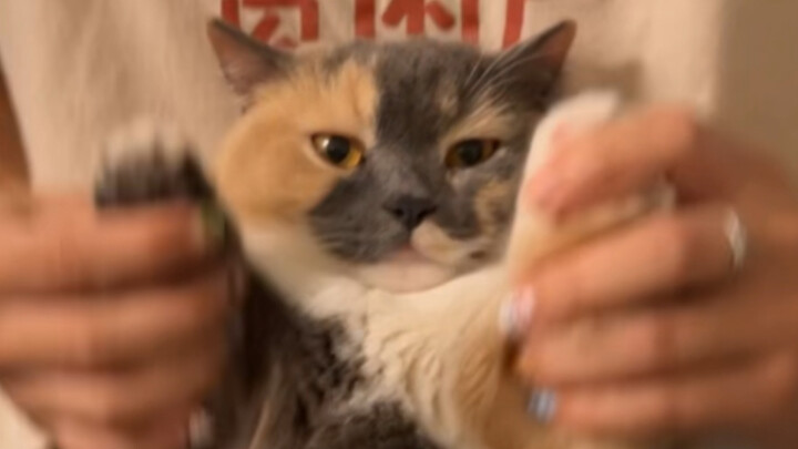 Selebriti Wanita Menarik Empat Orang Sekaligus