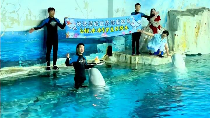 Từ hôm nay, công chúa Băng Băng đã tròn 9 tuổi rồi! Cùng chúc Băng Băng sinh nhật vui vẻ nhé!