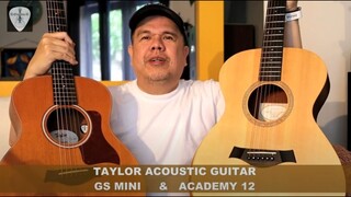 Taylor GS Mini vs Academy 12 Acoustic Guitars Comparison | Edwin-E