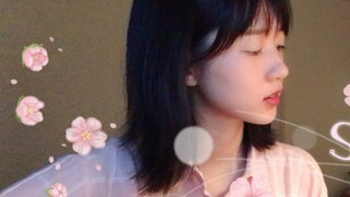 【Guitar Playing and Singing】SAKURA (Cover Bio Chief)