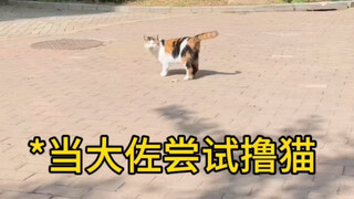 喵桑！我能碰碰你吗喵桑！