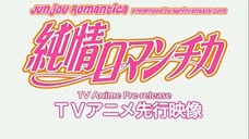 JUNJOU ROMANTICA SPECIAL EPISODE [ENG SUB]