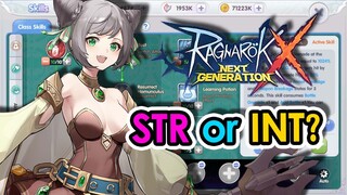 [ROX] STR or INT Stat Deal More Damage? | Alchemist/Biochemist/Genetic | KingSpade