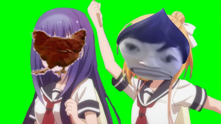 Hello everyone, I'm jimojimo