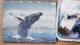 Simple watercolor whale painting method, it is easy to produce effects and share with friends (prete