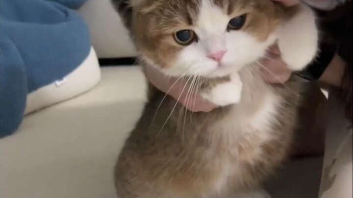 Con người rất dễ phải lòng Mimi~