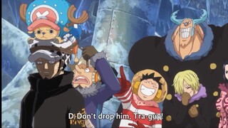 Straw hats x Trafalgar Law