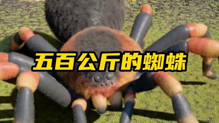 假如你遇到体重1000的蜘蛛