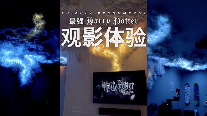 【DIY】The Ultimate Harry Potter Viewing Experience