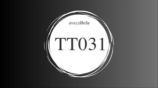 TT031