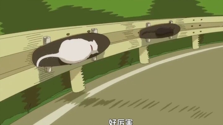 弯道快才是真的快！