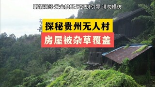 探秘贵州无人村，老屋被厚厚杂草覆盖，没人住的地方一切慢慢回归大自然