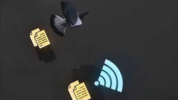 who is win