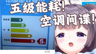 มีนักฆ่าไอศกรีมอยู่ข้างหน้าและมีสายลับปรับอากาศอยู่ข้างหลัง