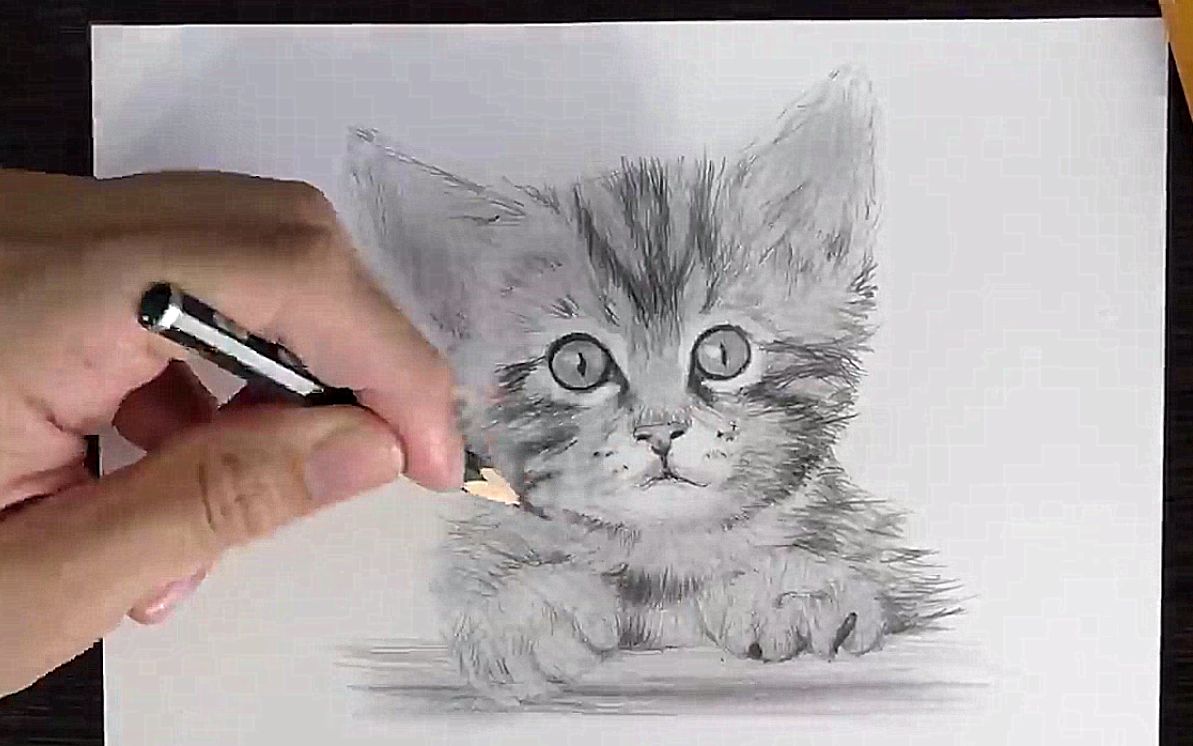 Làm thế nào để vẽ một con mèo con đang ngủ bằng bút chì  Vẽ Từng Nét Nhỏ