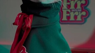 COSPLAY AKATSUKI😼