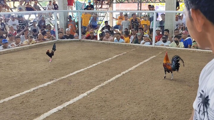 binabae Vs alimbuyog