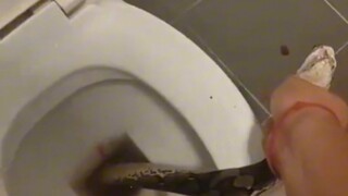 ท้าฟ้า...