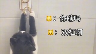 猫“不爱你的人，你上吊，她也以为你在荡秋千~”