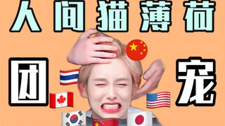 Người đàn ông kỳ lạ được các thành viên từ nhiều quốc gia yêu mến (Phần 1) [NCT/WayV][All昀][Group Pe