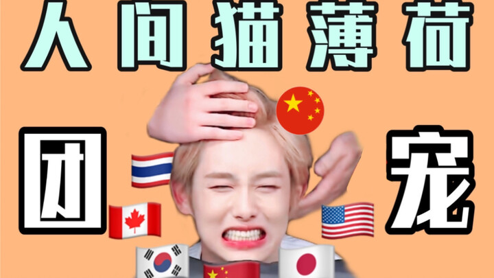 A Strange Man Loved by Members from Various Countries (Part 1) [NCT/WayV][All昀][Group Pet]