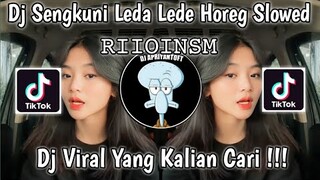 DJ SENGKUNI LEDA LEDE HOREG DIJE TEBANGH SLOWED 𝚁𝙸𝙸𝙾𝙸𝙽𝚂𝙼 VIRAL TIK TOK TERBARU 2023 !