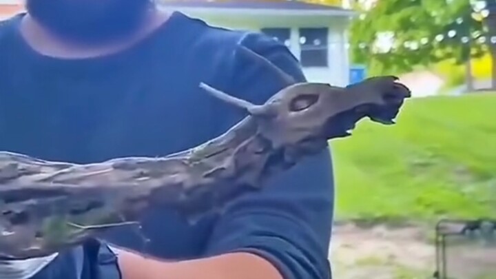 Đây mới là khí linh tôi muốn!