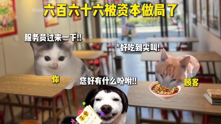 "六百六十六被资本做局了"