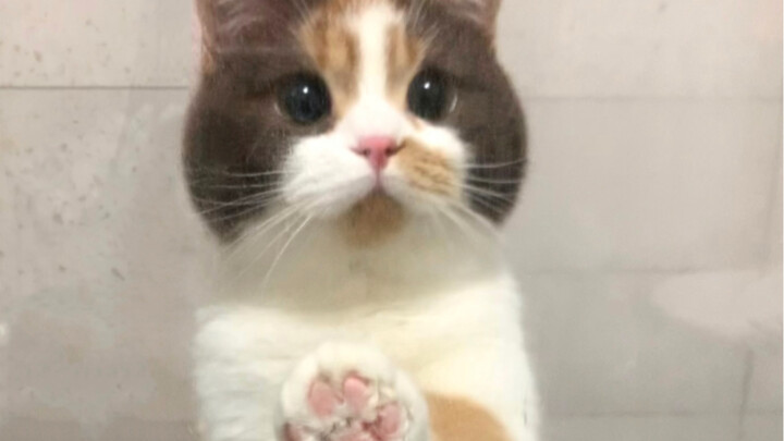 Whose baby is so well-behaved during bath time?