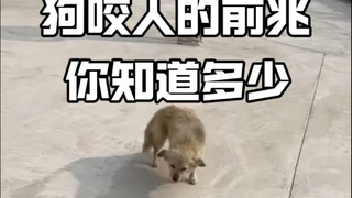 Ada tanda-tanda sebelum anjing menggigit seseorang