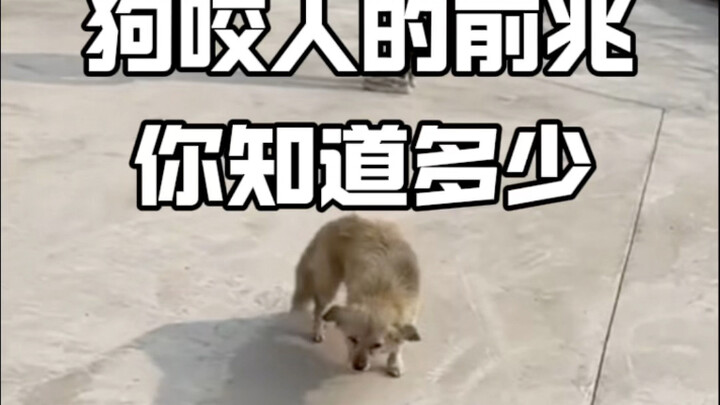 狗咬人都是有前兆的