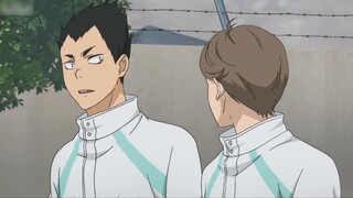 [Kageyama Tobio |. Rose Boy Lines] Memegang mawar di tangannya dan menginjak duri, Kageyama adalah a