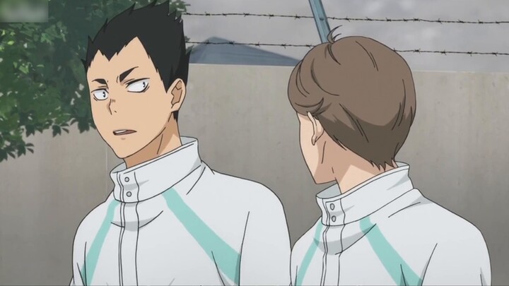 [Kageyama Tobio |. Rose Boy Lines] ถือดอกกุหลาบไว้ในมือและเหยียบหนาม Kageyama เป็นเด็กเช่นนี้