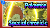 Pokemon|[Hand Drawn MAD/Special Season]the special chronicle(Complete）_1
