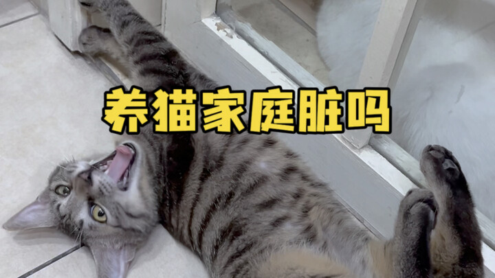 Nhà nuôi mèo có bẩn không? Người khác thì tôi không biết, nhưng riêng nhà tôi từ khi nuôi mèo thì sạ