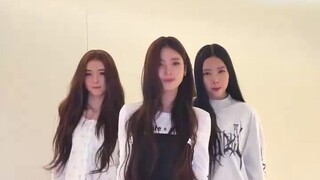 MEOVV dễ thương thách thức đàn chị ROSE Park Chae-young APT. cha!