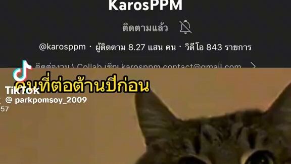 แพ้หนวดหัวหน้าหน่วยต่อต้านพลาดท่าแพ้
