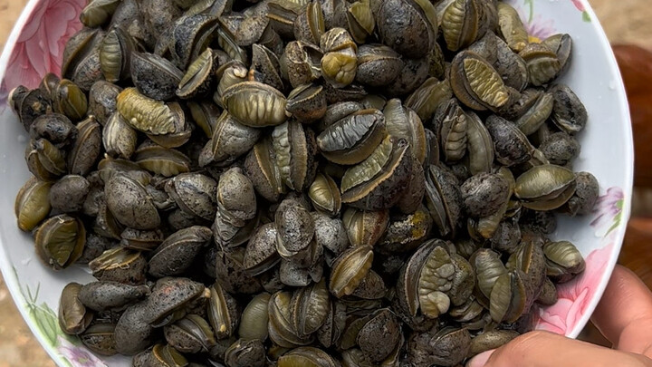 Hari ini aku menemukan kura-kura lumpur dan mengundang teman sebangku SMP ke rumah untuk berkunjung.