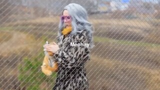 Mẹo cực hay nên học về dã ngoại