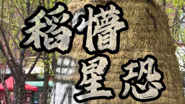 Rice Dream Starry Sky: The Scarecrow Kingdom — I Fell for a Big Hoax!