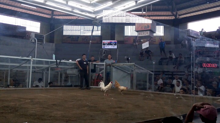 2hits double champion, guiguinto bulacan.