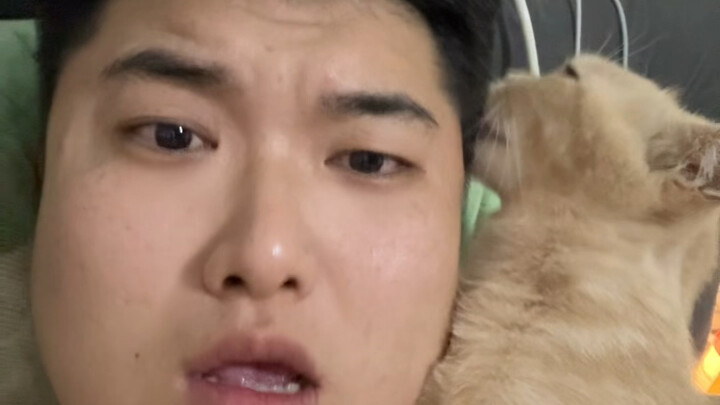 Giá trị cảm xúc này mà đưa ra thì ai mà không thích mèo con chứ?