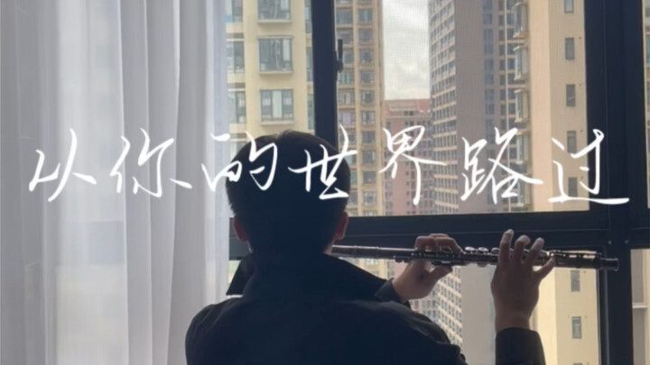 Đi qua thế giới của em – Bản kèn flute